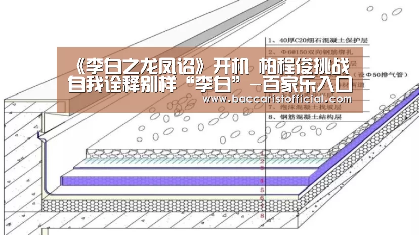 《李白之龙凤诏》开机 柏程俊挑战自我诠释别样“李白”-百家乐