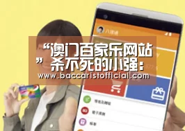 百家乐入口