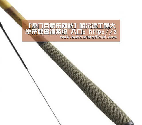 【澳门百家乐网站】哈尔滨工程大学录取查询系统 入口:http://zsbcx.hrbeu.edu.cn/admission/LuQuCha(图4) 百家乐入口
