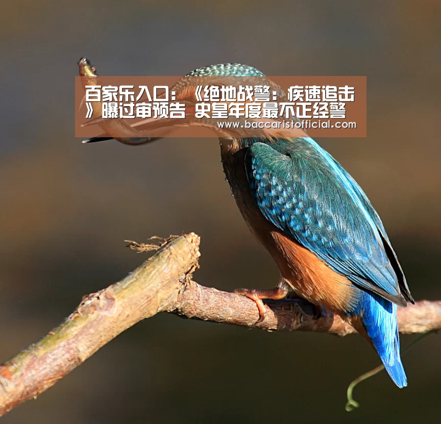 百家乐入口:《绝地战警:疾速追击》曝过审预告 史皇年度最不正经警匪片确认引进(图4) 百家乐入口